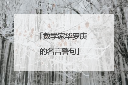数学家华罗庚的名言警句