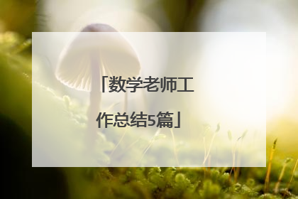 数学老师工作总结5篇