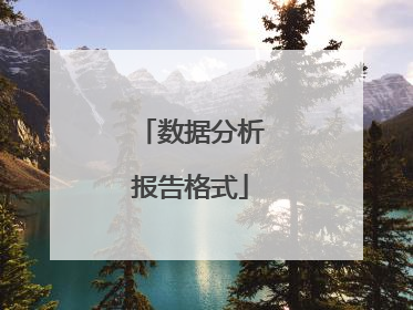 数据分析报告格式