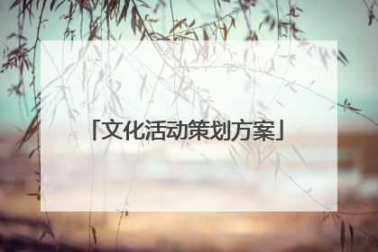 文化活动策划方案