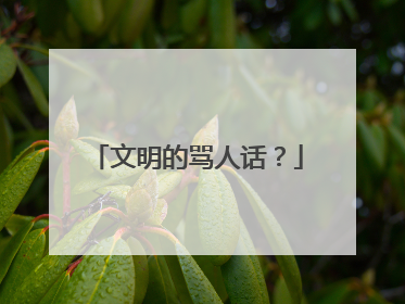 文明的骂人话？