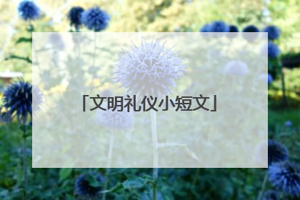 文明礼仪小短文