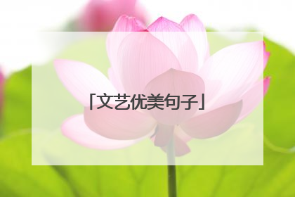 文艺优美句子