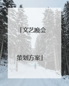 文艺晚会策划方案