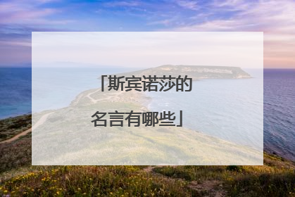 斯宾诺莎的名言有哪些