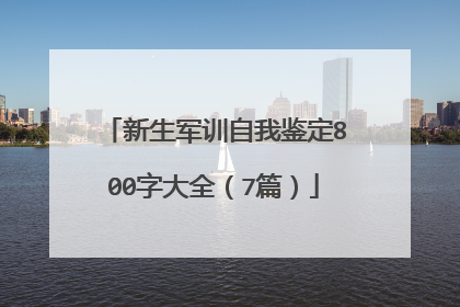 新生军训自我鉴定800字大全(7篇)