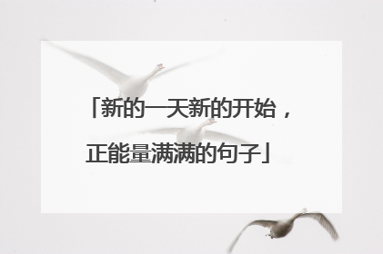 新的一天新的开始，正能量满满的句子
