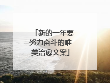 新的一年要努力奋斗的唯美治愈文案