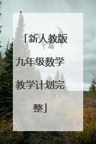 新人教版九年级数学教学计划完整