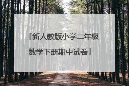 新人教版小学二年级数学下册期中试卷