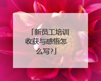 新员工培训收获与感悟怎么写?