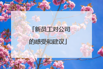 新员工对公司的感受和建议