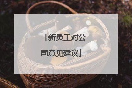 新员工对公司意见建议