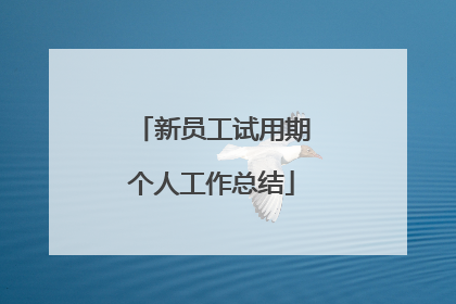 新员工试用期个人工作总结