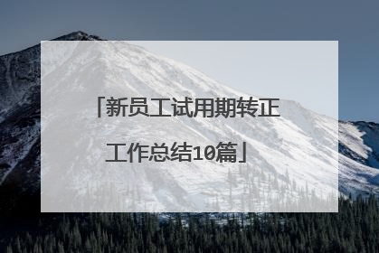 新员工试用期转正工作总结10篇