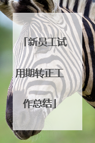 新员工试用期转正工作总结