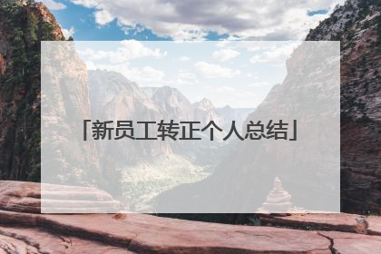 新员工转正个人总结