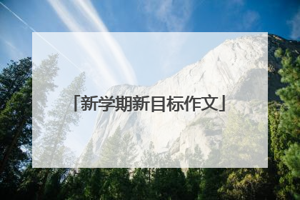 新学期新目标作文
