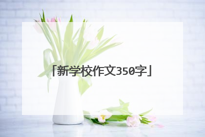 新学校作文350字
