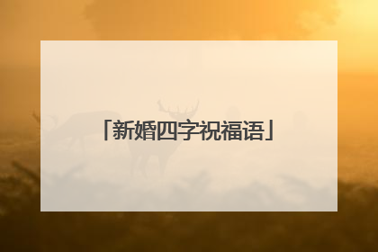 新婚四字祝福语