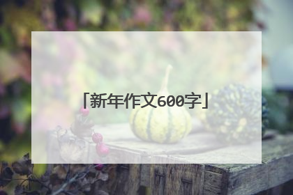新年作文600字