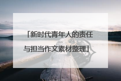 新时代青年人的责任与担当作文素材整理