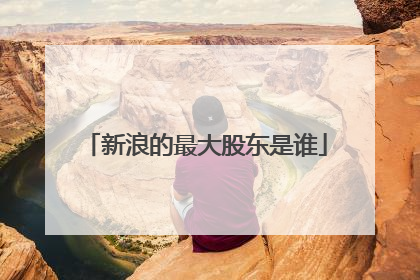 新浪的最大股东是谁