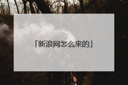 新浪网怎么来的