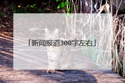 新闻报道300字左右