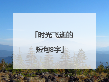 时光飞逝的短句8字