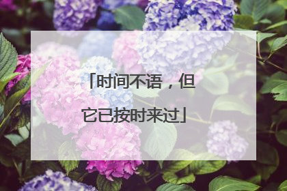 时间不语，但它已按时来过