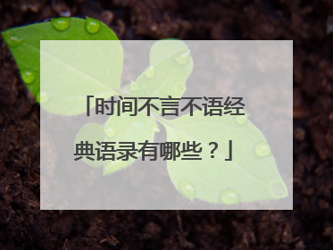 时间不言不语经典语录有哪些？