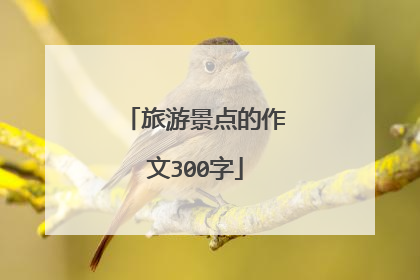 旅游景点的作文300字