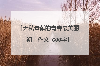 无私奉献的青春最美丽 初三作文 600字