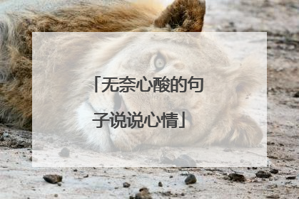 无奈心酸的句子说说心情