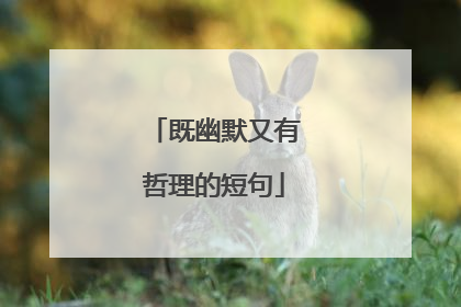 既幽默又有哲理的短句