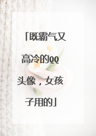 既霸气又高冷的QQ头像,女孩子用的