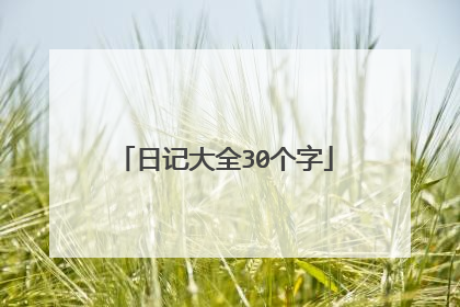 日记大全30个字