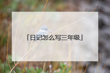 日记怎么写三年级