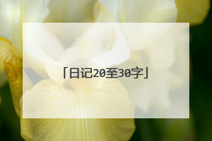 日记20至30字