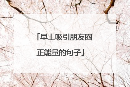 早上吸引朋友圈正能量的句子