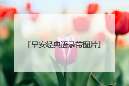 早安经典语录带图片