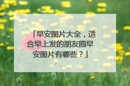 早安图片大全，适合早上发的朋友圈早安图片有哪些？