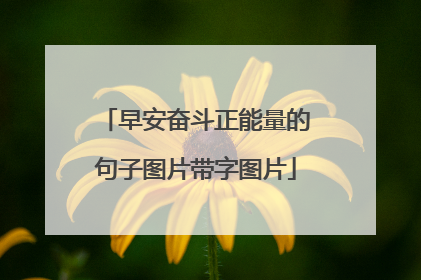 早安奋斗正能量的句子图片带字图片