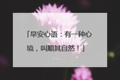 早安心语:有一种心境,叫顺其自然!