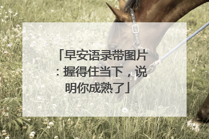早安语录带图片：握得住当下，说明你成熟了