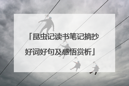 昆虫记读书笔记摘抄好词好句及感悟赏析