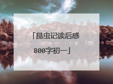 昆虫记读后感800字初一