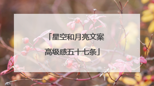 星空和月亮文案高级感五十七条