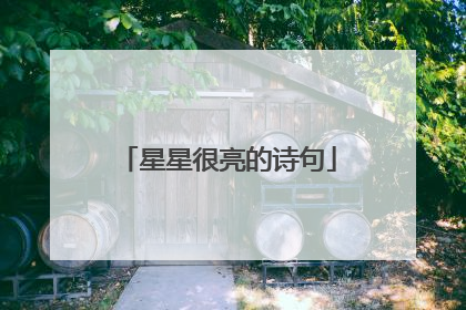 星星很亮的诗句